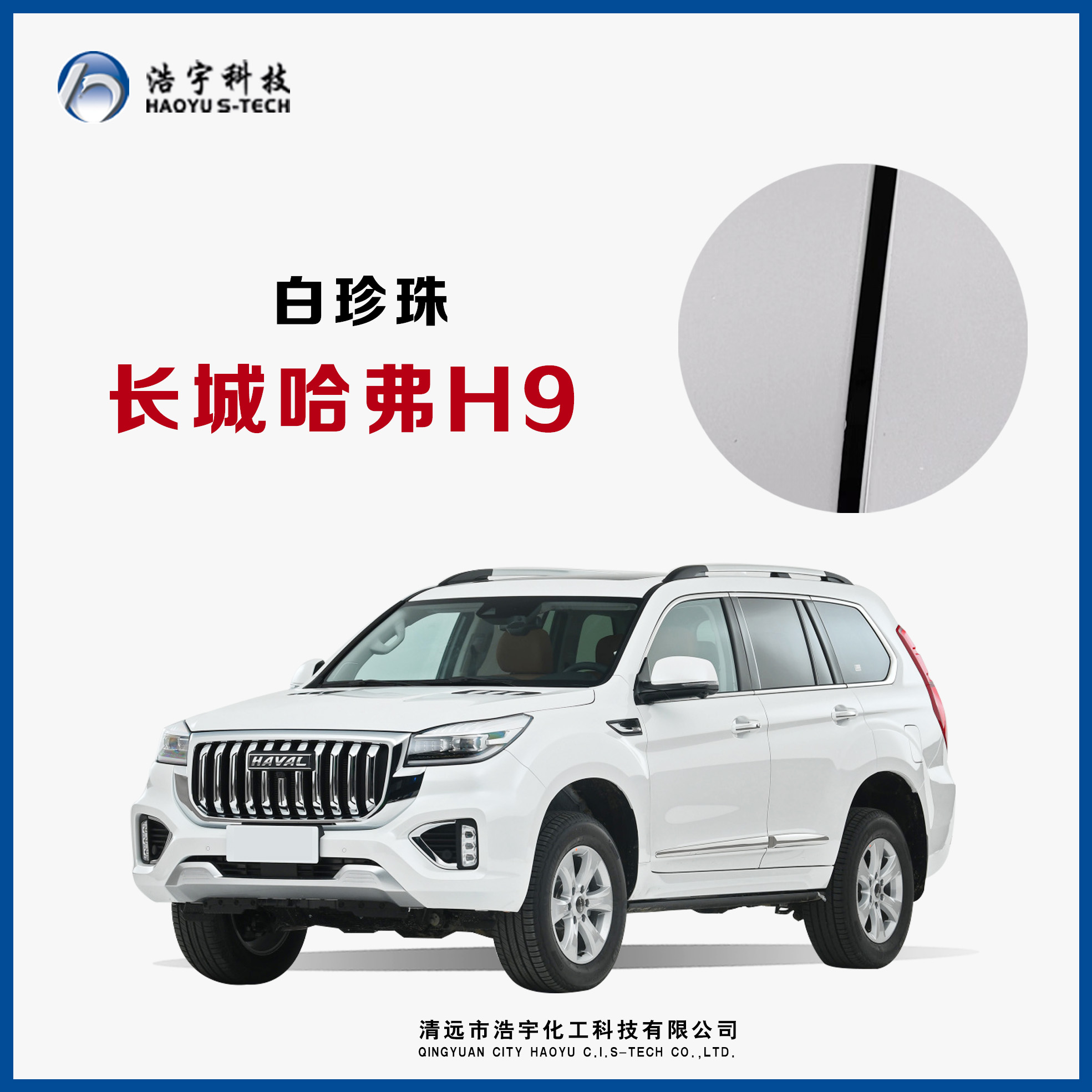 长城汽车/哈弗H9/20款  汉密尔顿白