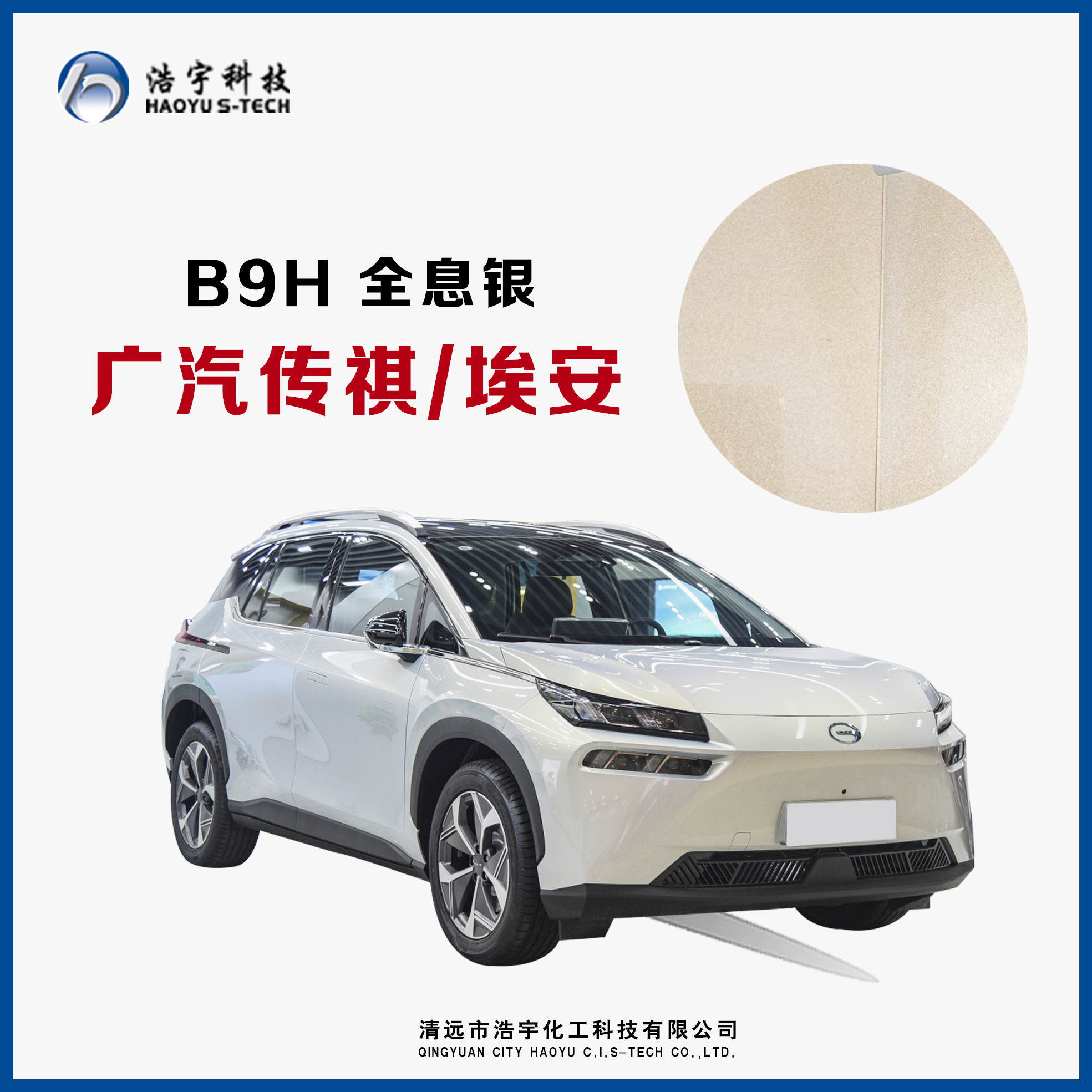 广汽传祺/埃安  全息银