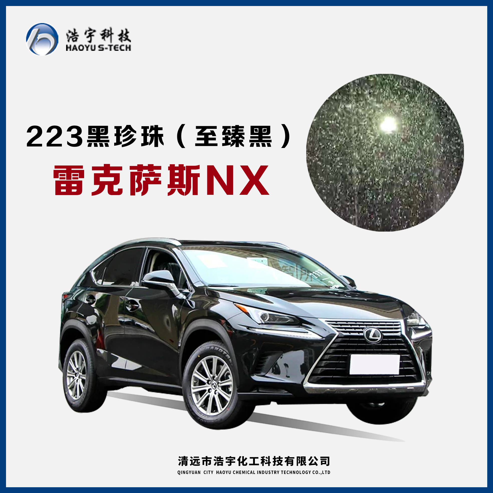 雷克萨斯/NX  黑珍珠